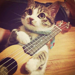 岳每晚被弄得嗷嗷叫高潮九色
