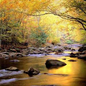 岳每晚被弄得嗷嗷叫高潮九色
